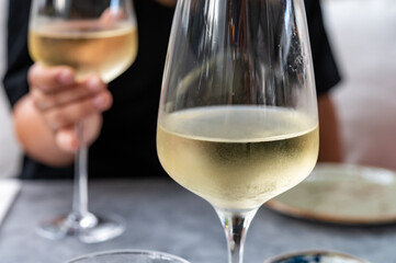 Drinking cold white wine with friends on outdoor terrace, summer vacation