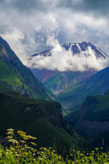 Summer mountains green grass and blue sky landscape