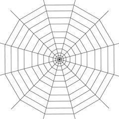 Naklejka premium Web. Internet spider web. The web is a hacker's paradise. Content for the designer.