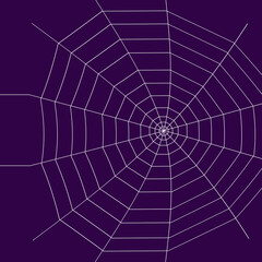 Naklejka premium Web. Internet spider web. The web is a hacker's paradise. Content for the designer.