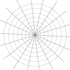 Obraz premium Web. Internet spider web. The web is a hacker's paradise. Content for the designer.