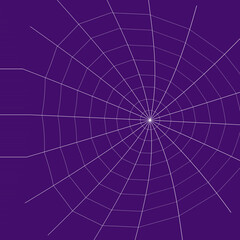 Naklejka premium Web. Internet spider web. The web is a hacker's paradise. Content for the designer.