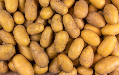 Fresh potatoes on white background