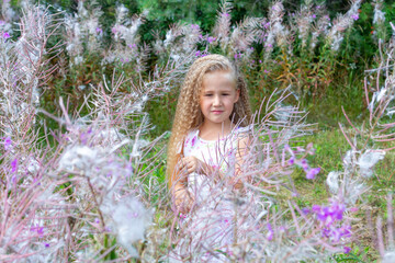 A little blonde girl of 5-6 years old in a white sundress stands surrounded by blooming Sally, fireweed. Long blonde curly hair, hairstyle. Summer, nature, lifestyle.
