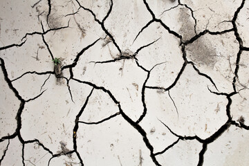 Dry cracked soil shot from above