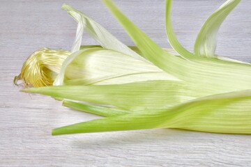 isolated fresh cob of corn in the skin on a light wooden surface