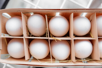 A box of fresh natural organic white eggs. Wooden basket with white bio eggs.