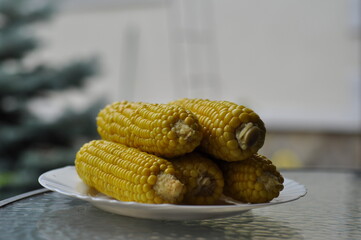 Yellow corn on the table in the garden