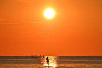 A group of people go in for sports. A girl swims on a SUP board, along a sunny path at dawn.