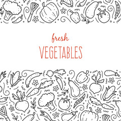 Hand drawn set of vegetable elements, carrot, salad, tomato, onion, lettuce, chili. Comic doodle sketch style. Vegetables element drawn by digital brush-pen. Vector illustration for icon, menu, frame