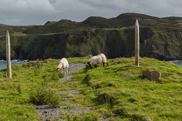 The Fanad Peninsula in Donegal, Ireland