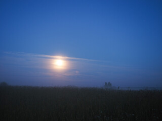Naklejka na ściany i meble Fog at night in the field