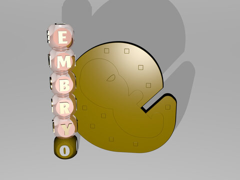 3D graphical image of EMBRYO vertically along with text built around the icon by metallic cubic letters from the top perspective. excellent for the concept presentation and slideshows. illustration