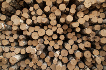 Pile of logs texture background