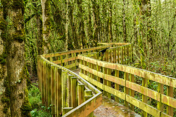 A winding boardwalk through the wetlands in Ankeny National Wildlife refuge near Jefferson, Oregon