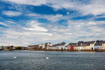 Fototapeta na wymiar Two swans in river in Galway bay. Warm sunny day with cloudy blue sky. Colorful houses in the background.
