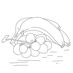 Coloring Book or Page Illustration of Black and White Banana and Grape Fruits