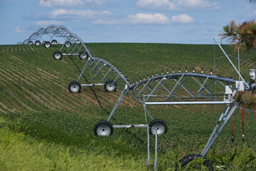 Pivots can measure up to 1/2 mile in length and irrigate over 500 acres of crop during a single...