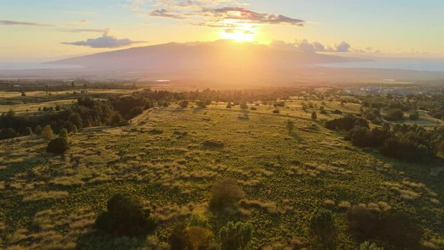 Gulch ravine valley, sunset light. Green fields in Hawaii. Drone aerial shot 4k. Outdoor travel in America. View of Maui Hawaii island. 