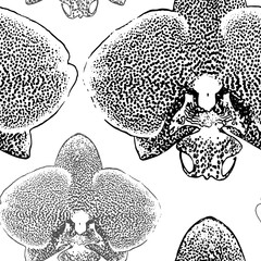 Floral seamless pattern with exotic motley tropical orchids flowers. Monochrome vector design in grunge damask ornament style on white background for create textile, home decor, fabric, print, poster,