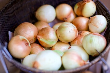 onions in a basket