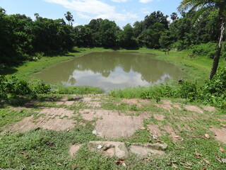 A typical pond in rural Bengal 