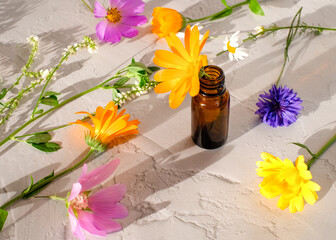 Bottle with natural elixir and calendula flower with colorful flowers around, healthcare concept