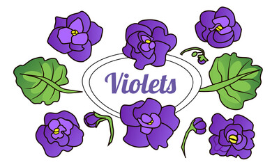 Vector linear set of purple flowers and leaves, set of violets for creativity, separate elements for a bouquet, parts of a houseplant, individual flowers for wedding patterns and invitations