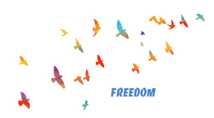 Bird watercolor. A flock of colorful birds. Freedom. Mixed media. Vector illustration