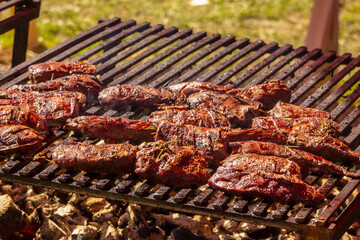 meat fried pieces delicious delicious crust grilled campfire picnic summer sunny day