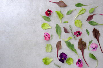  Green salad with herbs and edible garden flowers.