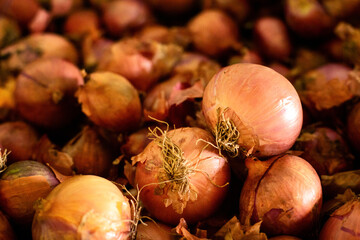Close up of many onions in a street shop. Top view. Fresh fruits and vegetables copy space blurred background 