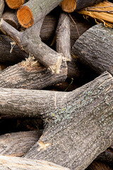 tree trunk knotted sawn pile vertical photo background logging