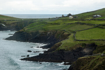 Irish Coast