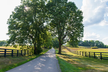 Country road lined with fences in the summer.