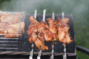 grill barbecue meat on a brazier with smoke, green grass background