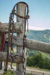 Horse reins on the fence. Horse bridle
