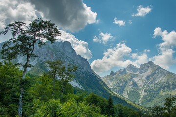 Mountain areas in summer. Beautiful views of the mountain peaks. Mountain Kom, Montenegro