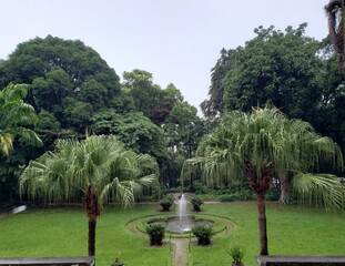Fototapeta na wymiar Brazil - Rio de Janeiro - Parque Lage - Jardim