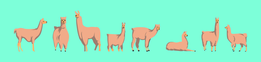 set of cartoon llama with various models