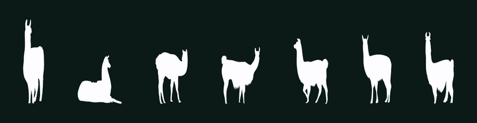 set of cartoon silhouettes llama with various models