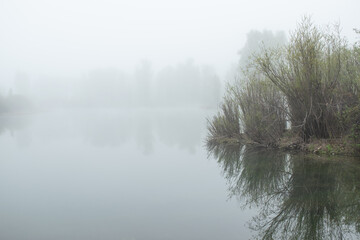misty morning on the lake