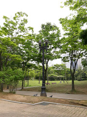 
Park scenery with street lights and trees. in the spring.