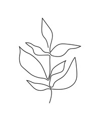 One line continuous of leaves, single line drawing art, tropical leaves,  botanical leaf isolated, simple art design, abstract line, vector
