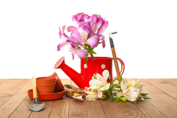 Fototapeta na wymiar Gardening tools on table against white background