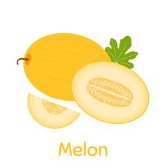 Melon. Vector Illustration EPS