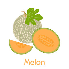 Melon. Vector Illustration EPS
