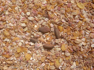 Brown color raw dried Muesli