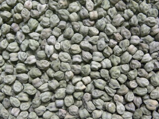 Green color raw whole dried Chickpeas