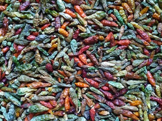 Heap of colorful dry raw whole Bird's eye chili